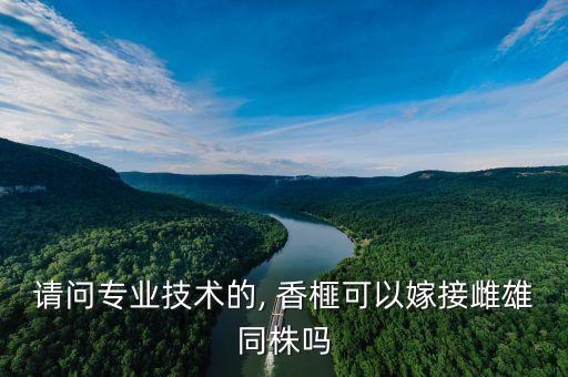 香榧樹現(xiàn)在要噴什么農(nóng)藥