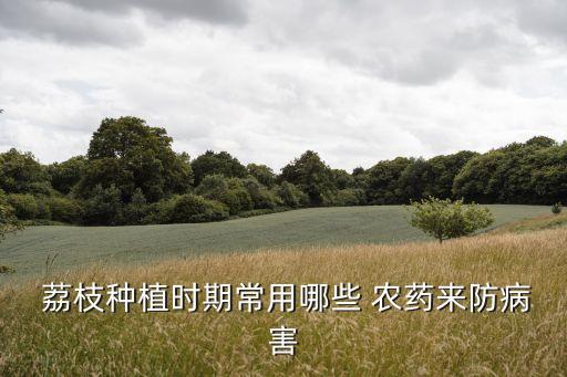 打什么農藥荔枝快大靚,荔枝用什么農藥殺稍