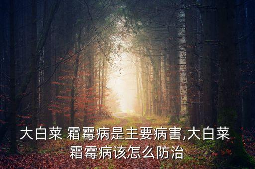 大白菜 霜霉病是主要病害,大白菜 霜霉病該怎么防治