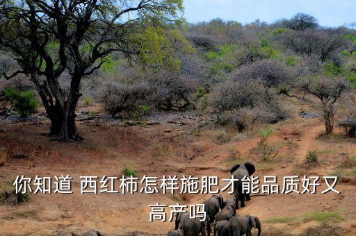 西紅柿需要什么化肥和農藥,種西紅柿用什么化肥