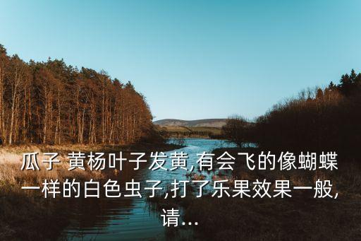 瓜子 黃楊葉子發(fā)黃,有會飛的像蝴蝶一樣的白色蟲子,打了樂果效果一般,請...