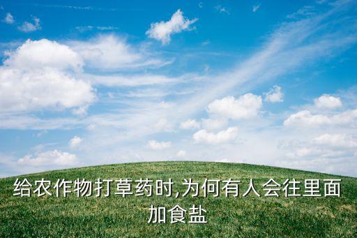 農藥納米鹽有什么作用,什么是納米農藥