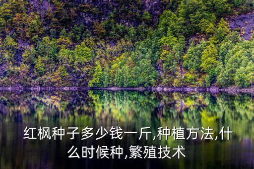  紅楓種子多少錢一斤,種植方法,什么時候種,繁殖技術