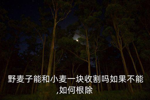  野麥子能和小麥一塊收割嗎如果不能,如何根除