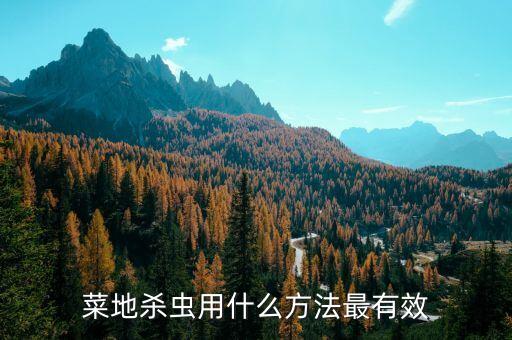 蟲(chóng)子吃菜噴什么農(nóng)藥,噴農(nóng)藥后幾天可以吃菜?