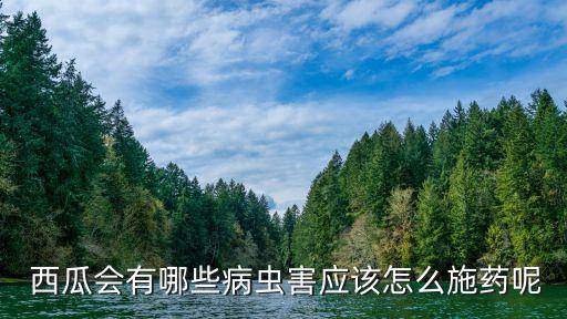 西瓜噴蟲用什么農(nóng)藥最好,西瓜一般打什么農(nóng)藥