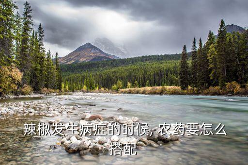 辣椒的疫病用什么農藥防治,顆粒劑農藥防治辣椒疫病的研究