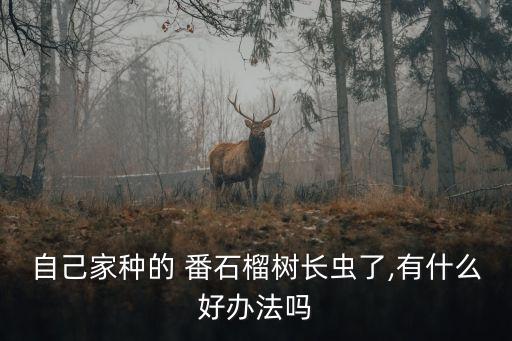 一般番石榴噴什么農(nóng)藥,番石榴噴什么殺蟲(chóng)劑
