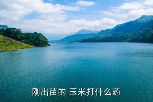 玉米苗施什么農藥殺蟲最好,什么農藥能殺死玉米苗