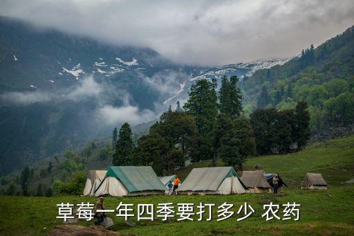 草莓開花結果要用什么農藥,草莓長到什么程度開花結果