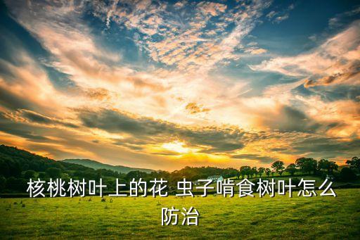核桃上的蟲子打什么農(nóng)藥,核桃里面蟲子長什么樣