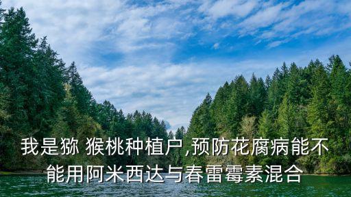 我是獼 猴桃種植戶,預防花腐病能不能用阿米西達與春雷霉素混合