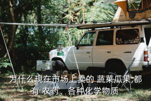 為什么現在市場上賣的 蔬菜瓜果,都有 農藥、各種化學物質