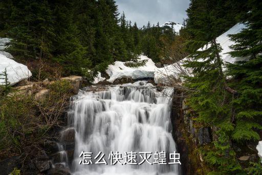殺螞蚱用什么農(nóng)藥,螞蚱用什么農(nóng)藥最好