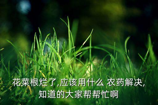 花菜根爛了,應該用什么 農藥解決,知道的大家幫幫忙啊