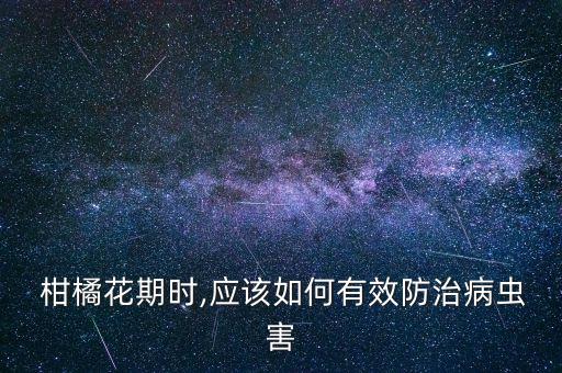  柑橘花期時(shí),應(yīng)該如何有效防治病蟲害