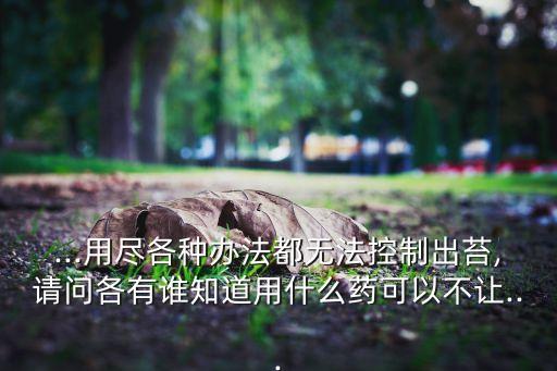 用什么農(nóng)藥韭菜不吊葉,什么農(nóng)藥能殺死韭菜