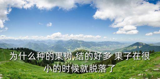 為什么種的果樹(shù),結(jié)的好多 果子在很小的時(shí)候就脫落了