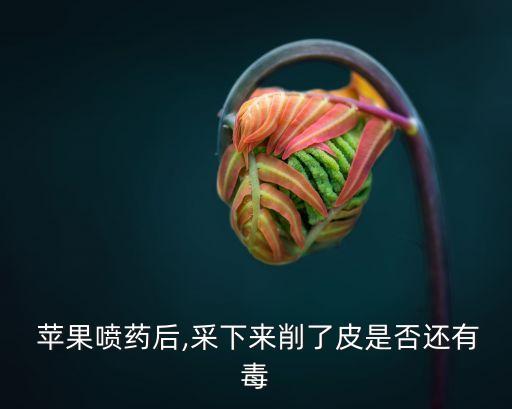  蘋果噴藥后,采下來(lái)削了皮是否還有毒
