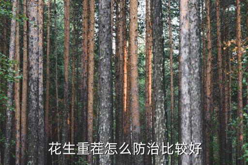  花生重茬怎么防治比較好