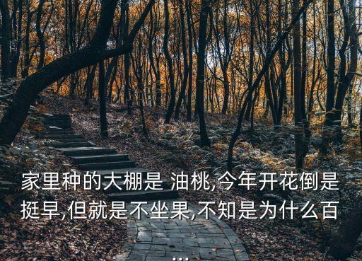 家里種的大棚是 油桃,今年開花倒是挺早,但就是不坐果,不知是為什么百...