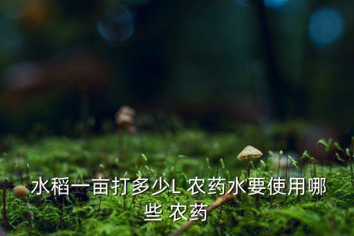  水稻一畝打多少L 農藥水要使用哪些 農藥