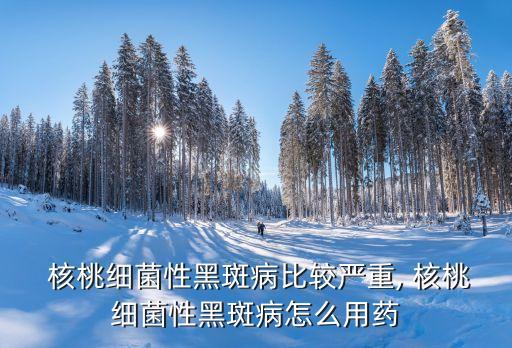  核桃細菌性黑斑病比較嚴重, 核桃細菌性黑斑病怎么用藥