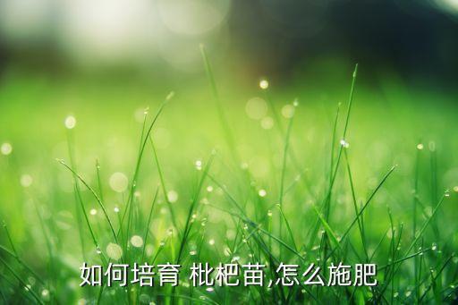 如何培育 枇杷苗,怎么施肥