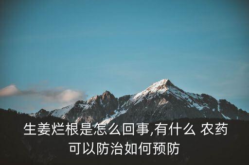  生姜爛根是怎么回事,有什么 農藥可以防治如何預防