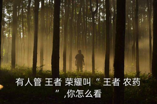 王者榮耀升級農(nóng)藥是什么,山寨版王者榮耀王者農(nóng)藥下載