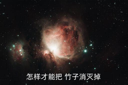 竹子用什么農藥毒死,有沒有什么農藥可以殺死竹子