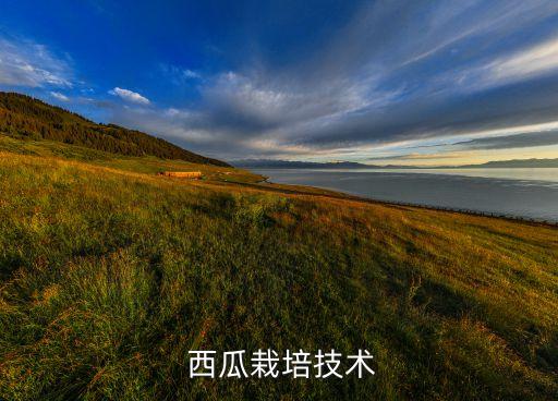 種西瓜要噴什么農(nóng)藥,西瓜噴醋有什么作用