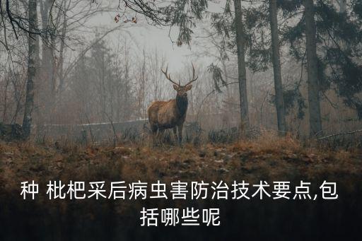 枇杷要用什么農(nóng)藥殺菌除草