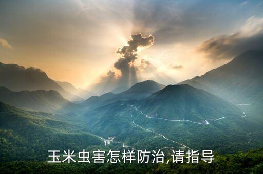包谷有蟲打什么農(nóng)藥,包谷里面的蟲叫什么