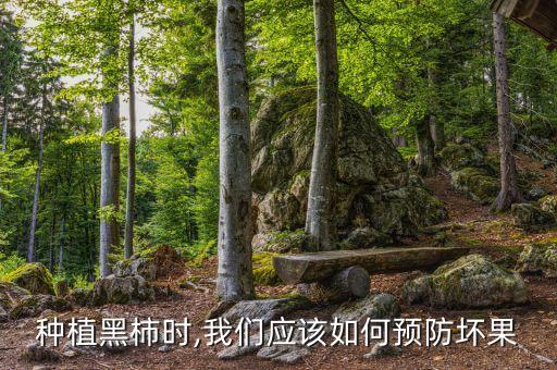 刺毛蟲用什么農(nóng)藥殺死,毛蟲用什么農(nóng)藥效果好