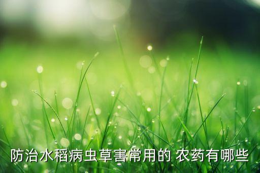 輝潤農藥治什么病,3911農藥主要治什么