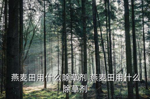  燕麥田用什么除草劑 燕麥田用什么除草劑