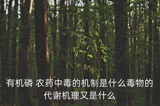蠅尿農藥什么作用,粒粒飽農藥有什么作用