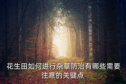  花生田如何進(jìn)行雜草防治有哪些需要注意的關(guān)鍵點(diǎn)