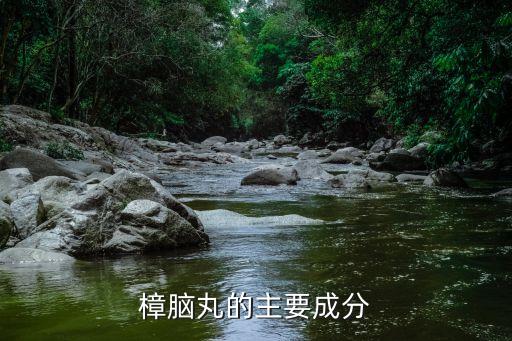 樟腦丸的主要成分