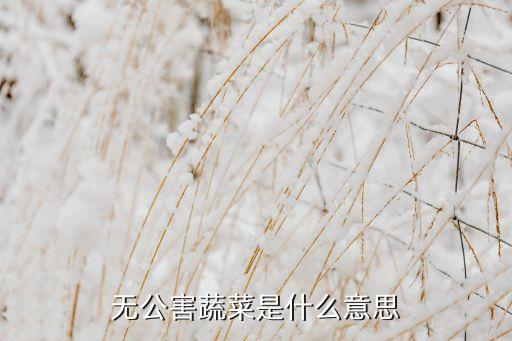 無公害蔬菜是什么意思