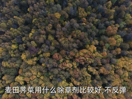種芥菜用什么農藥最好呢,芥菜什么時間收割最好