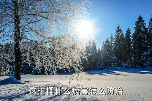 這柑橘什么病害怎么防治
