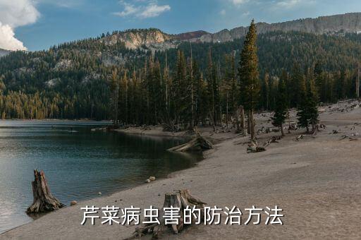 芹菜都用什么農藥,芹菜上一般打什么農藥