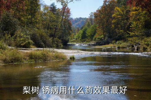 梨樹 銹病用什么藥效果最好