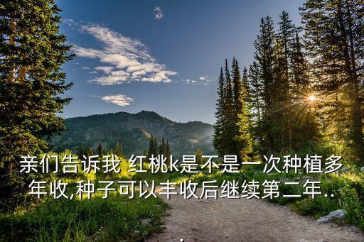親們告訴我 紅桃k是不是一次種植多年收,種子可以豐收后繼續(xù)第二年...
