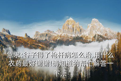 黃豆聚筋用什么農(nóng)藥好
