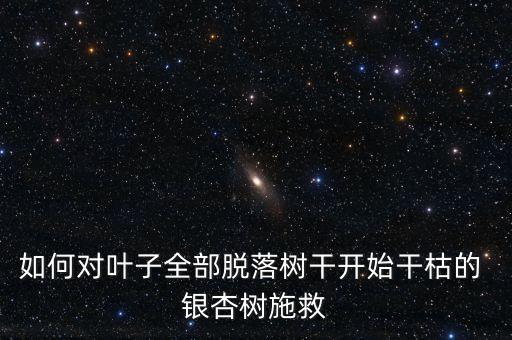 銀杏樹(shù)噴灑什么農(nóng)藥,什么時(shí)間噴灑農(nóng)藥效果好