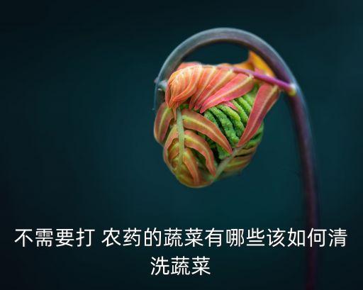 不需要打 農(nóng)藥的蔬菜有哪些該如何清洗蔬菜