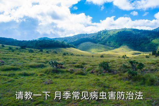 月季什么時候噴灑農藥,噴灑多菌靈農藥什么時候最合適